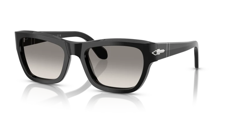 PO0091S