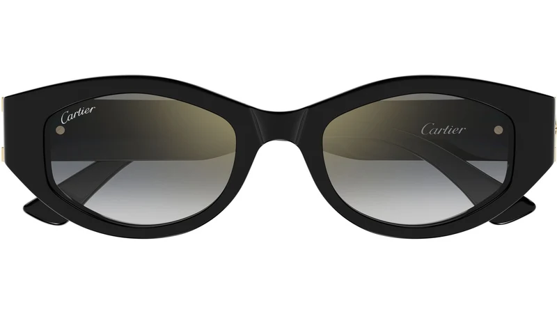 CT0667S 001