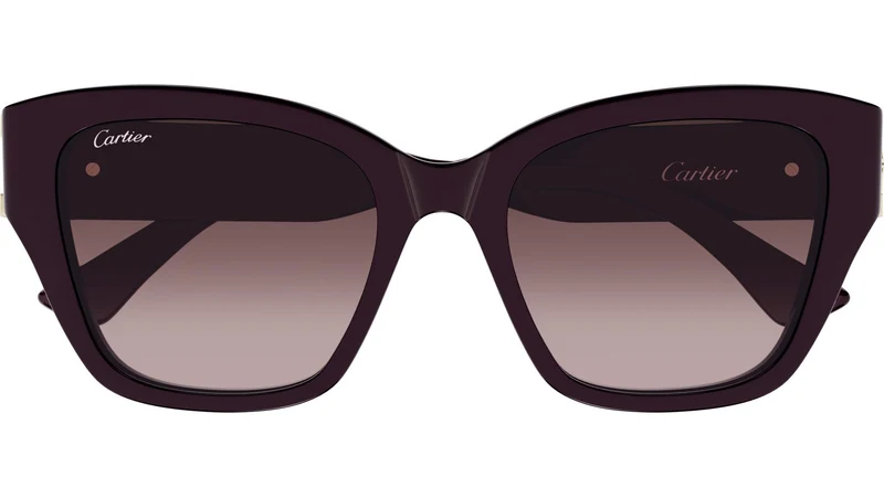 CT0666S 003
