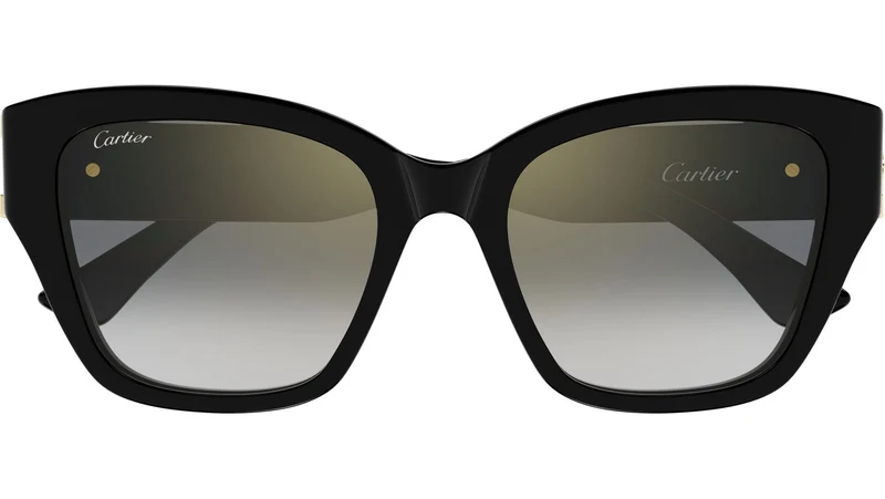 CT0666S 001
