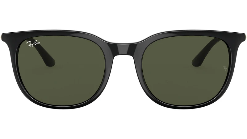 RB4386 601/31 black