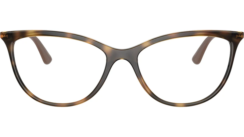 VO5239 W656 tortoise