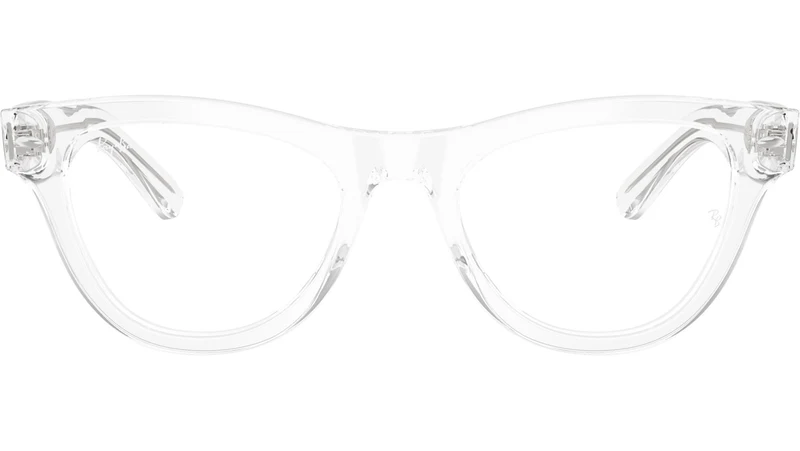 RB5510 Optics 2001
