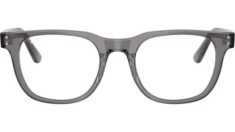 RB5461D Optics 8268