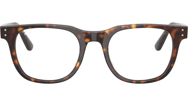 RB5461D Optics 2012