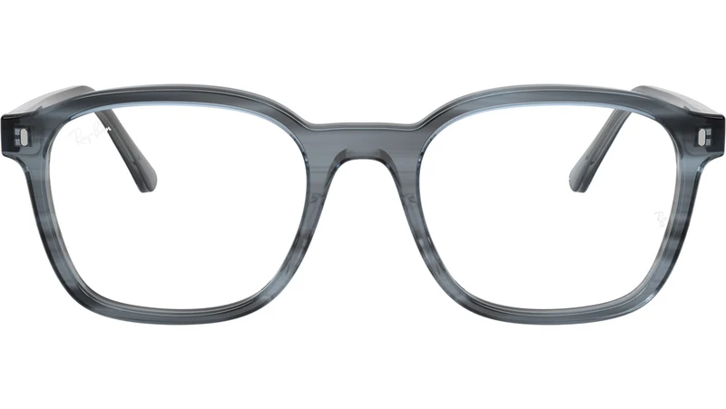 RB5460 Optics 8456
