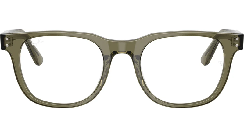 RB5461D Optics 8501