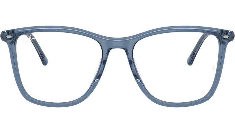 RB5455 Optics 8223