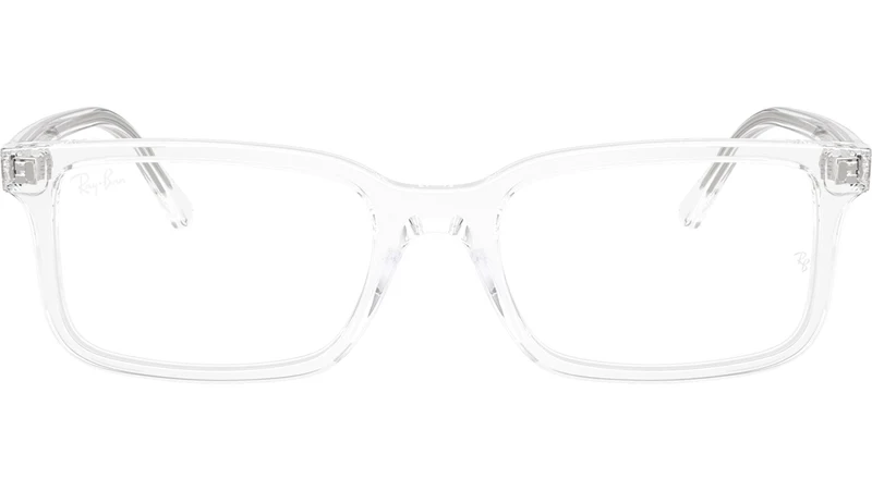 RB5445 Optics 2001