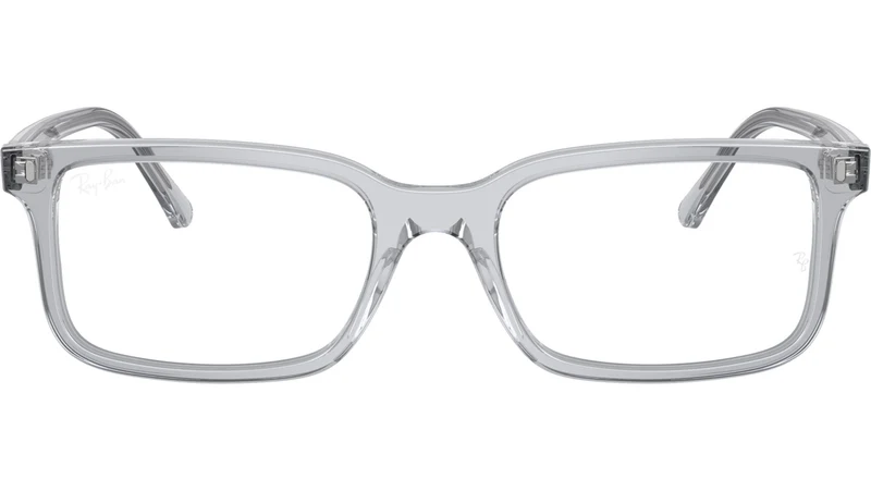 RB5445 Optics 8225