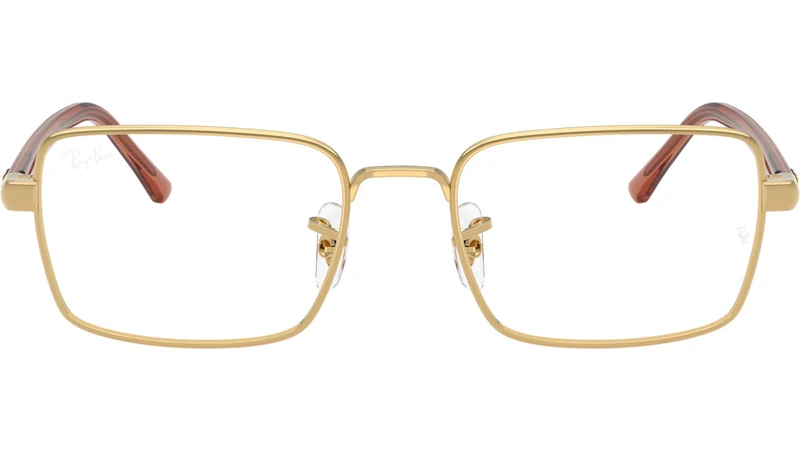 RB6560 Optics 2500