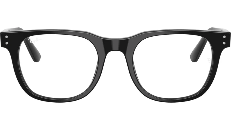 RB5461D Optics 2000