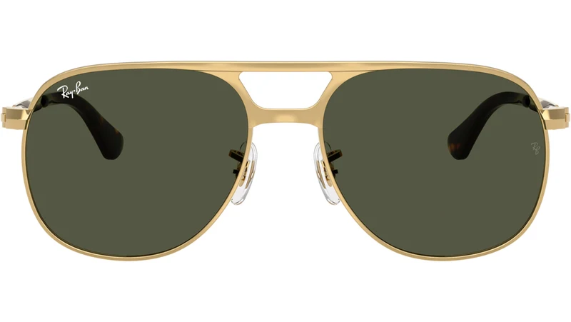 Bill Max RB3793 001/31
