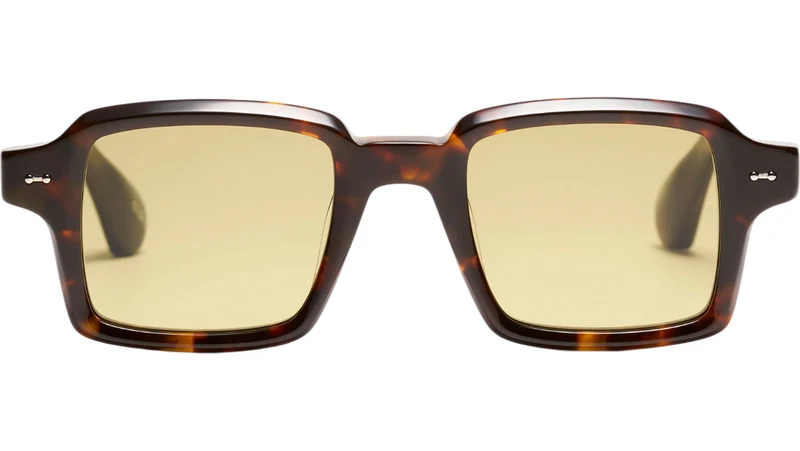 Numero Sun Tortoise