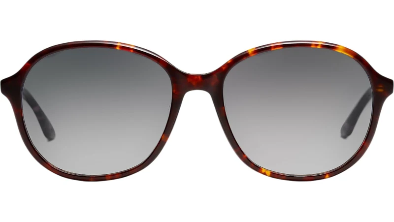 Solenne Sun Tortoise