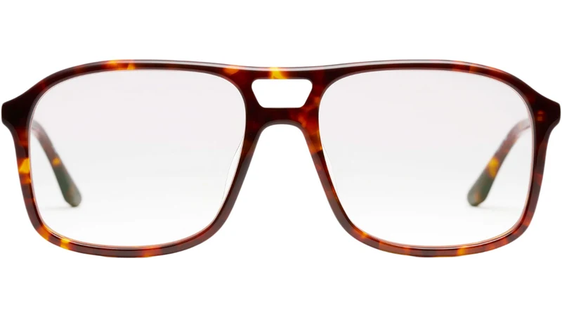 Little Eva Tortoise