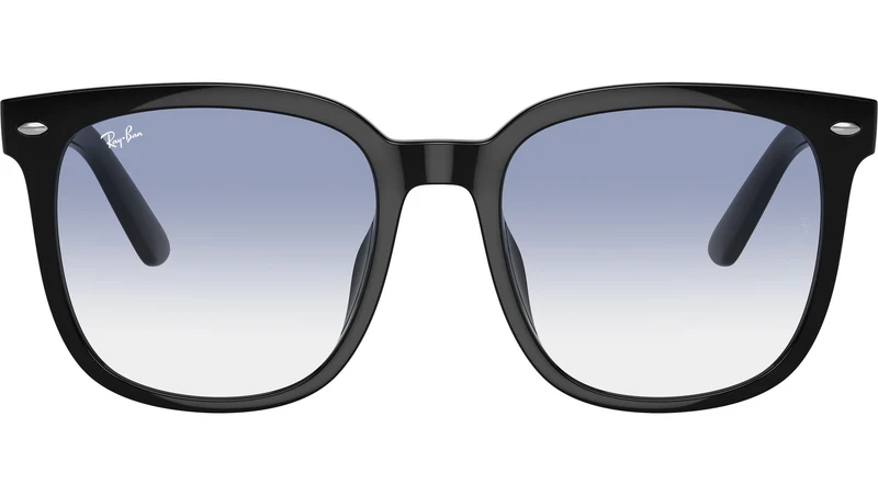 RB4401D 601/19 Black