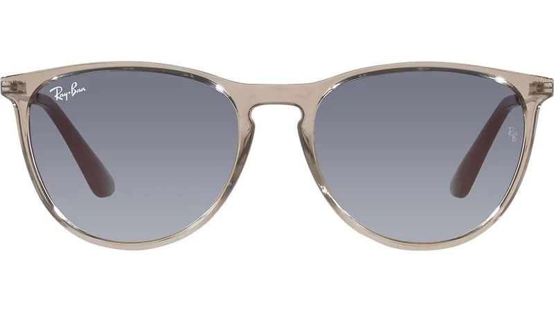 Erika RJ9060S 71094L transparent grey