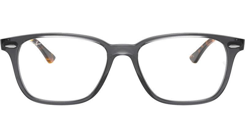 RB7119 Optics 5629