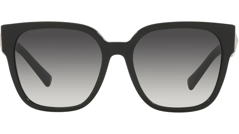 VA4111 50018G black