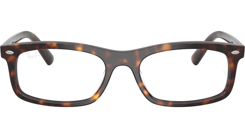 RB5450 Optics 2012