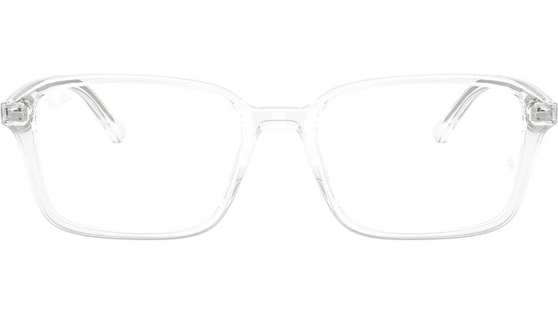 Raimond Optics RB5431 2001