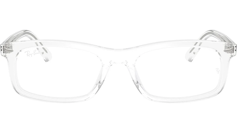 RB5450 Optics 2001