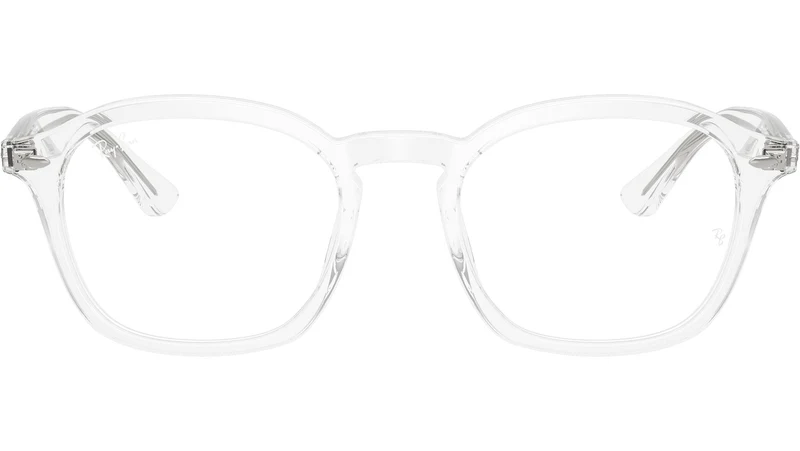 RB5451 Optics 2001