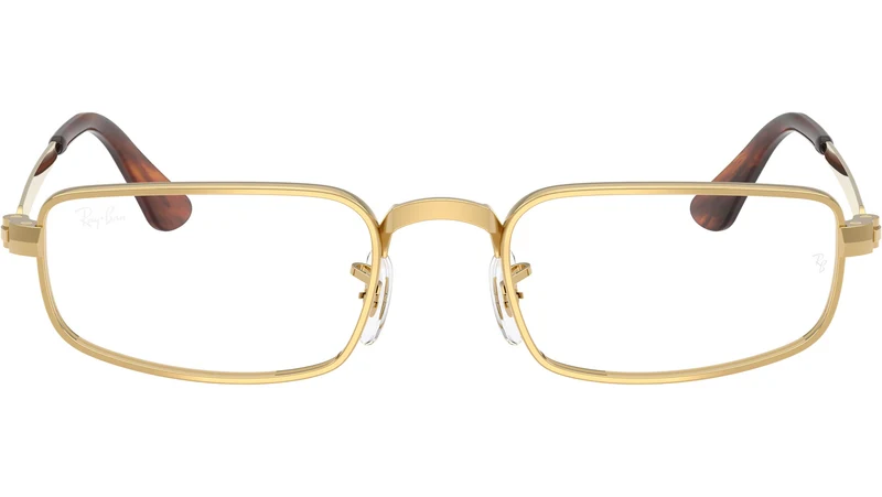 RB3927V Optics 2500