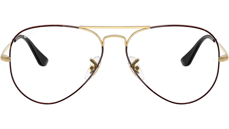 Aviator Optics RB6489 3175