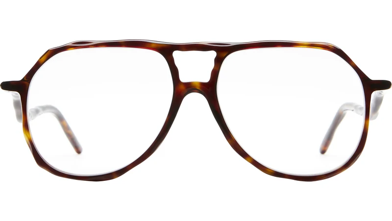 L10 TS Tortoise