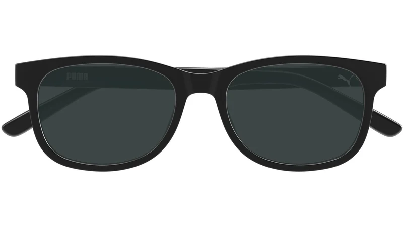 PU0526S 001
