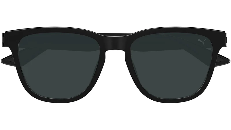 PU0506S 001