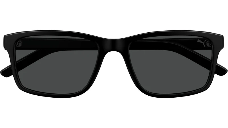 PU0493S 001