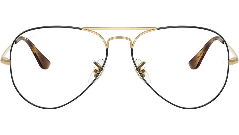Aviator Optics RB6489 3177