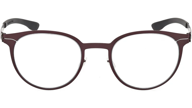 Robin IC5053 005