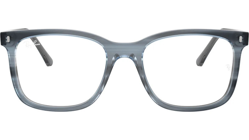 RB5446 Optics 8456