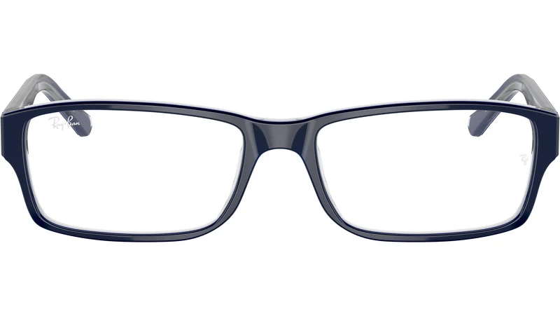 RB5169 Optics 5815