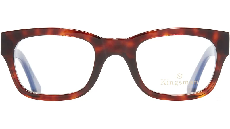 0868 Optical 02
