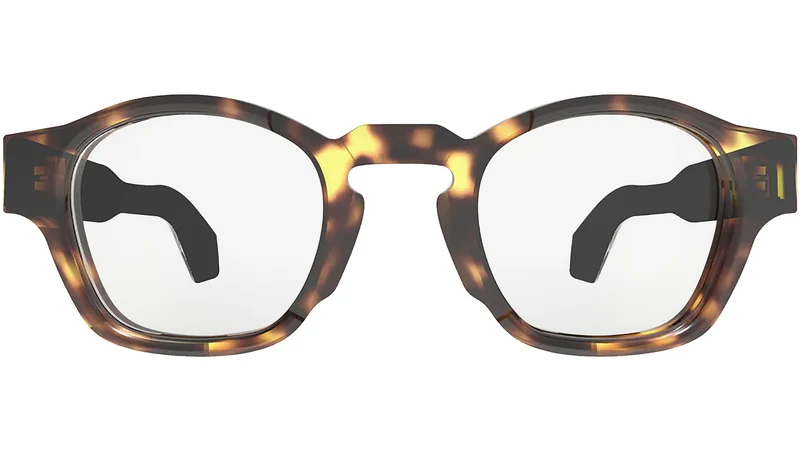 Purpose N473V Tortoise