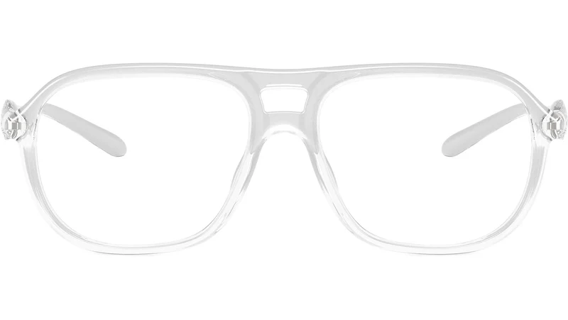 DL6008U 2029