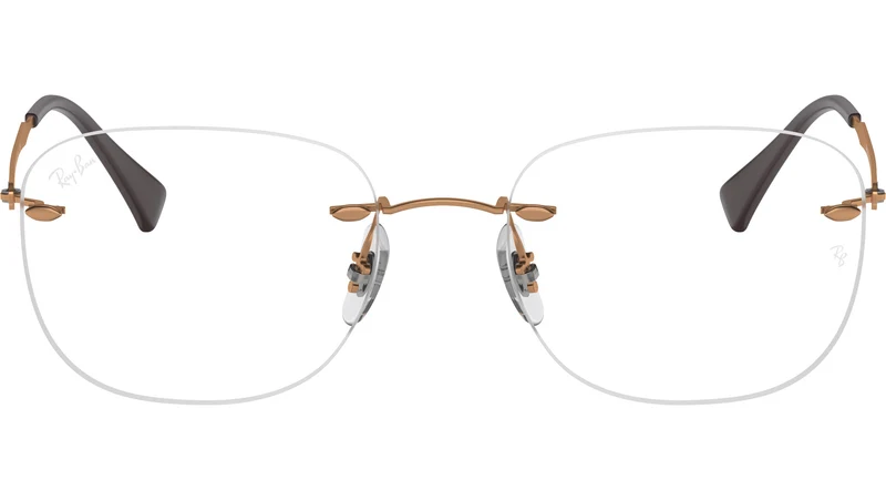 RB8748 Optics 1131