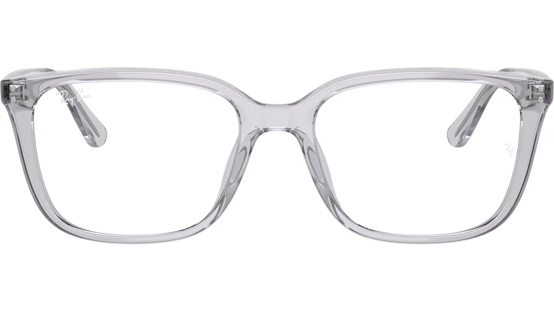 RB7248D Optics 8411