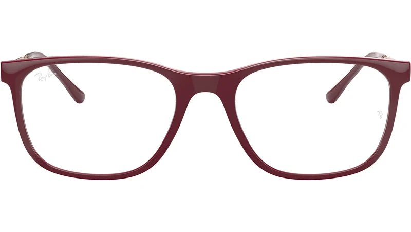 RB7244 Optics 8099