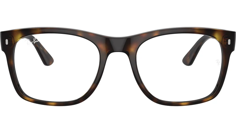 RB7228 Optics 2012