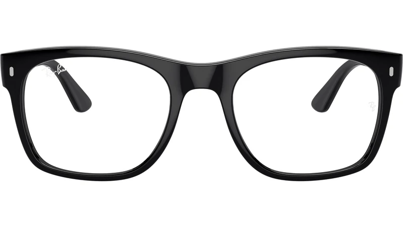 RB7228 Optics 2000