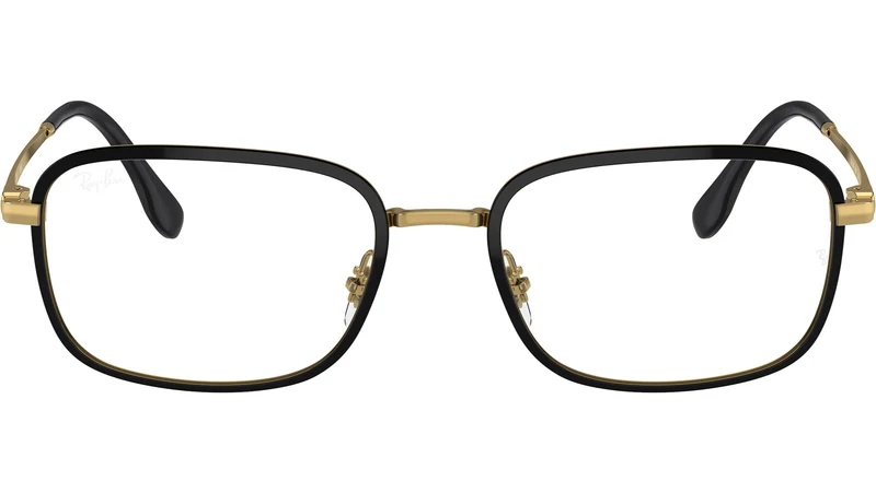RB6495 Optics 2991
