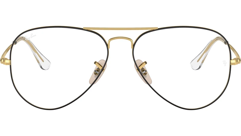 Aviator Optics RB6489 2890