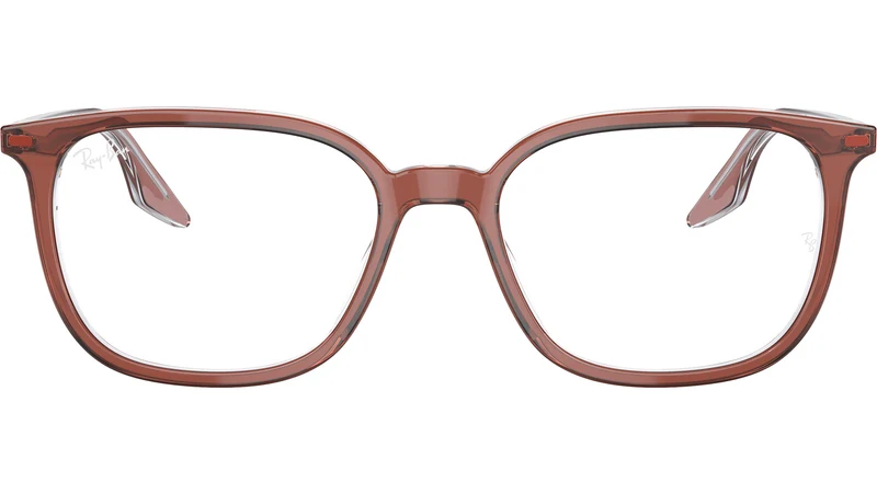 RB5406 Optics 8171